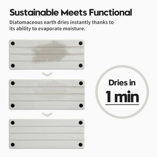 Instant Dry Sink Caddy Kitchen Sink Organizer, Quick Drying Diatomaceous Earth Stone Sink Tray Sponge Holder Soap Dish, Bathroom Countertop Vanity Dispenser Toothbrush Bottle, White, 10" x 4" - color: 1. White, size: 10" x 4" x 1"
