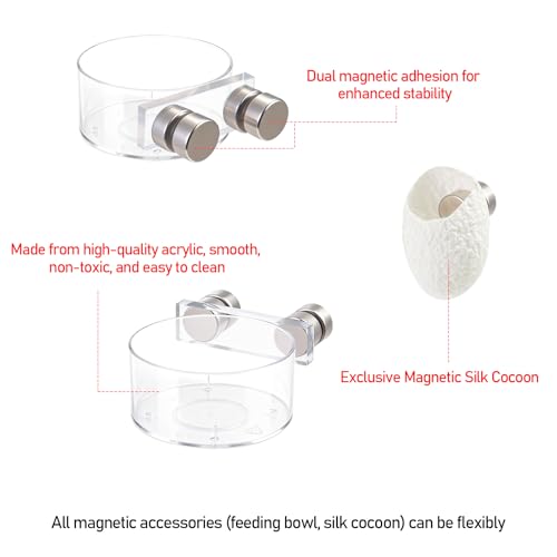 Jumping Spider Feeding Dish Set, Magnetic Water Bowl & Silk Cocoons with Magnets - Reptile Feeding Tongs and Complete Enclosure Accessories Kit