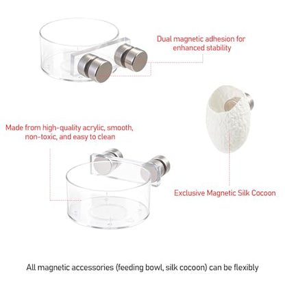 Jumping Spider Feeding Dish Set, Magnetic Water Bowl & Silk Cocoons with Magnets - Reptile Feeding Tongs and Complete Enclosure Accessories Kit