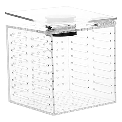 balacoo 1pc Fish Breeding Isolation Box Aquarium Hatching Container for Smooth Attachment for Fish Fry