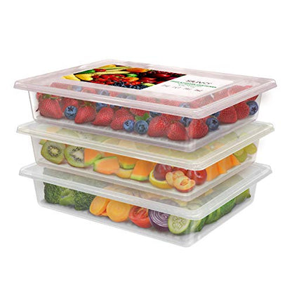Fridge Produce Saver Containers (3 Pack) - 2.5L Drain Tray Keeps Veggies, Fruits, Lettuce Fresh