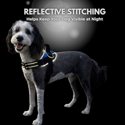 ShawnCo Essential Dog Harness, No-Pull Pet Vest (Electric Blue,S) - color: Electric Blue, size: S