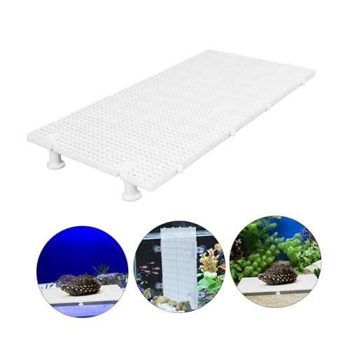 BESPORTBLE 1set Fish Tank Isolation Board Aquarium Divider for Fish Breeding Species Separation Water Circulation Mesh Panel Support Posts