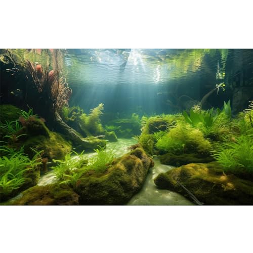 Ocean Floor Fish Tank Background Underwater Stone Aquarium Background Under Water Background Cave Sunlight Fish Tank Backdrop Decoration Aquarium Backdrop Durable Vinyl 24x16in