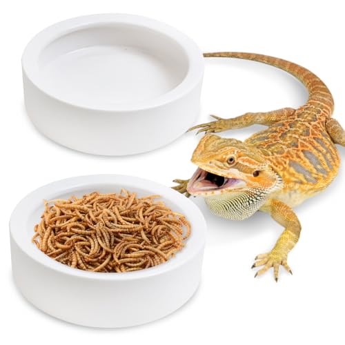 2 Pack Reptile Food Bowl, Ceramic Water Feeder Bowl, Reptile Worm Feeding Dish for Lizard Turtle Bearded Dragon Anoles Crested Gecko Hermit Crab Leopard Gecko Chameleon Corn Snake - size: 2 Pcs 3.9 '' x 1.1 ''