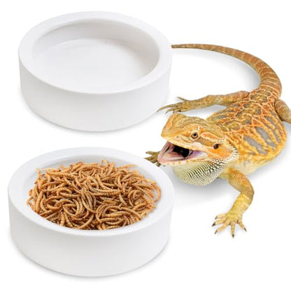 2 Pack Reptile Food Bowl, Ceramic Water Feeder Bowl, Reptile Worm Feeding Dish for Lizard Turtle Bearded Dragon Anoles Crested Gecko Hermit Crab Leopard Gecko Chameleon Corn Snake - size: 2 Pcs 3.9 '' x 1.1 ''