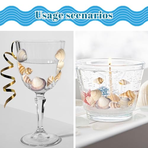 Seashells for Crafts Natural Mixed Seashells, 4 Pack Box,Small Shells for Crafts Mini Shells for Craft, Decoration, Vase Filler(550 pcs)