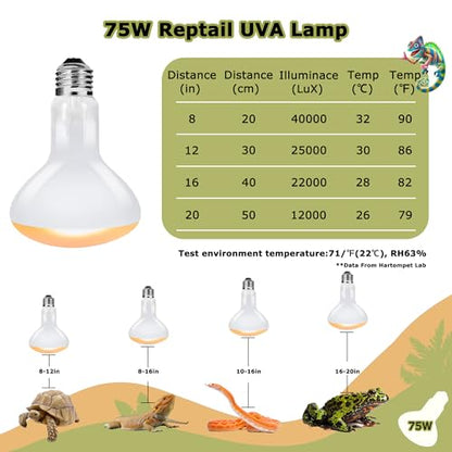 75W Reptile Heat Lamp Bulbs, 2.5 Inch UVA Amphibian Basking Spot Light for Bearded Dragon, Lizard, Tortoise & Chicks – Simulated Sunlight, Daylight Bulb for Aquariums and Tanks | 2 Pack