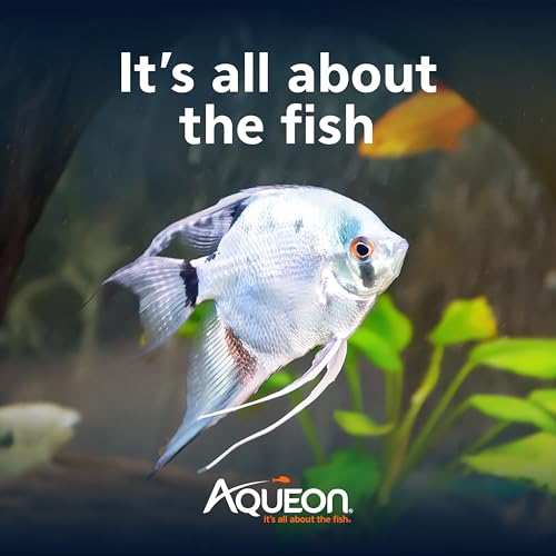 Aqueon Fish Tank Aquarium Essentials Starter Kit for 29 Gallon Tanks - size: 29 Gallon