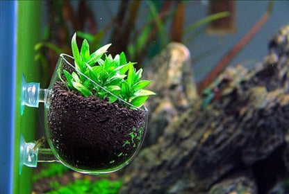 Plant Pot Aquarium Decor Aquatic Plant Cup with 2 Suction Cup for Fish Tank Aquarium Aquascape(2 Pack)