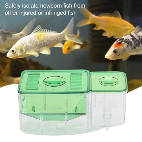 Aquarium Fish Breeding Box, Double - Layer Isolation Incubator for Small Fish Shrimp, Newborn Fry Spawning Nursery with Insert Tray for Betta Guppies Clownfish