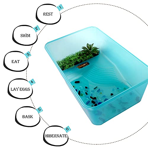 Turtle Tank Aquarium, Turtle Habitat Reptile Plastic Terrarium Safe Durable, Tortoise Tank with Lid Prevent from Climbing Escaping (Small) - size: Small - 13x9.2x5.5 Inch