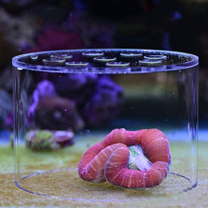 Acrylic Transparent Feeder Cover, Aquarium Feeding to Prevent Fish and Shrimp from Stealing Food, with Center Hole for Feeding Tube, for Reproduction and Safe Feeding in Fish (80mm) - size: 80mm
