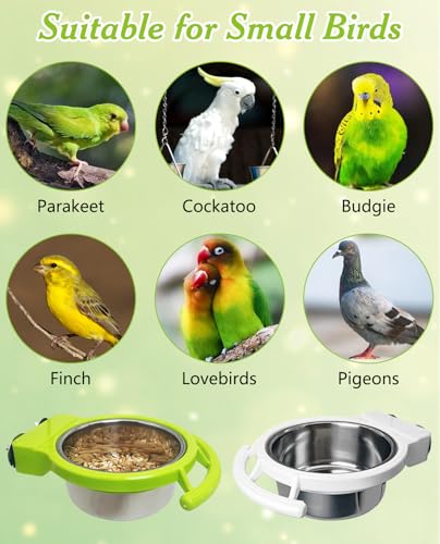 2 PCS Bird Feeding Dish Cups with Perch Stand Hanging Stainless Steel Bird Bowls Food Container Food and Water Bowls with Spoon for Budgie Cockatoo Finch Lovebirds Pigeons (Green&White)