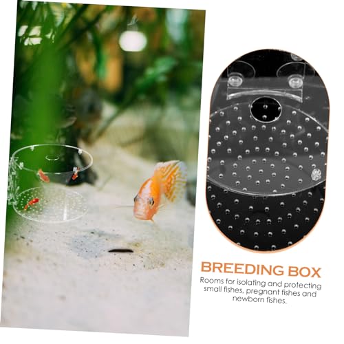 POPETPOP Fish Breeding Box for Aquarium Lightweight Separator for Fish Tank for Shrimp Survival Rate Easy to Carry and Store