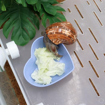4 Pack Hermit Crab Plastic Food Dish, Hermit Crab Food & Water Bowl, Mini Food Dish Kit, Suitable for Hermit Crab Tarantula Snail