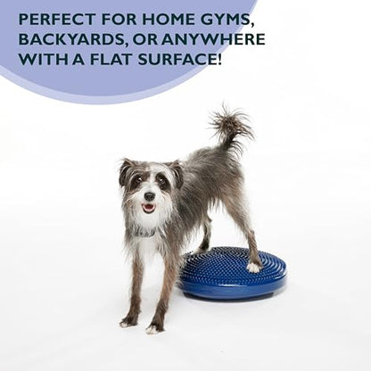 FitPaws® Dog Balance Disc, Exercise Equipment, Rehabilitation + Training, - color: Blue, size: 14"