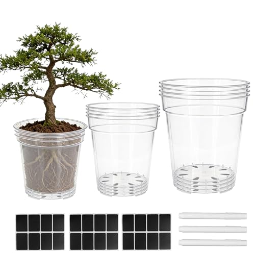 12 Pcs 8/10/12 Inch Large Size Clear Nursery Pots with Drainage Holes Flexible Plastic Planters Transparent Plant Bottle Variety Pack for Succulents Indoor Plants