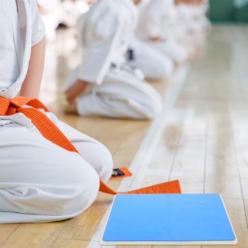 Kisangel Rebreakable Taekwondo Kick Paddle and Karate Breaking Board and Adults, Blue Sturdy Training Target for Martial Arts Practice and Skill Testing