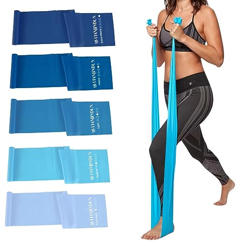Resistance Bands for Working Out, Physical Therapy, Exercise, Pilates, Yoga | Latex-Free Stretch Bands for Women or Men, Elastic Exercise Bands Set for Stretching, fitness, Rehab, Workout, Gym and Home - color: Gradient Blue Set