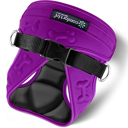 Comfort Fit Dog Harness, Purple, Small - color: Purple, size: S (Chest 12" - 15.5")