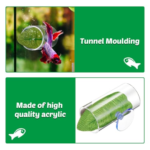 Betta Fish Tunnel Toys,Acrylic Hollow Betta Fish Hideout Tube Hollow Design for Small Fish Shrimp Betta Guppies