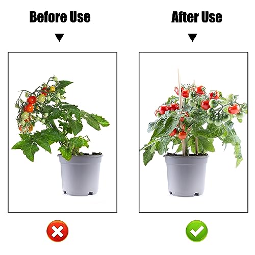50 Pcs Large Plant Clips Orchid Clips Plant Orchid Support Clips Flower Vine Clips for Supporting Stems Vines Stalks Climbing Plants Grow Upright