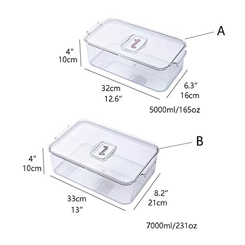 Fresh Box Food Storage Container with Lids Stackable Portable Freezer Containers for Fish Meat Vegetables Fruits Storage Bins Airtight (Model : A) (B)