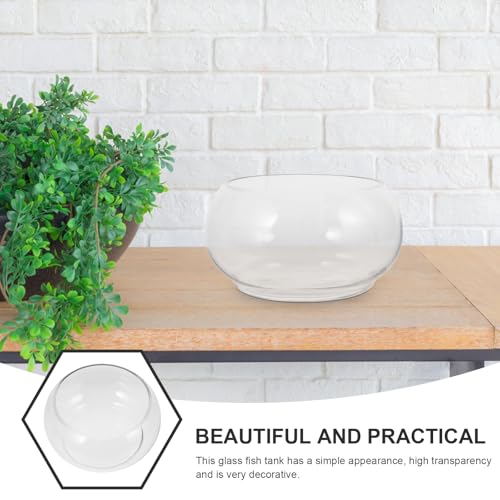 Hydroponic Plant Pot Clear Daffodil Bowl for Desktop Decor Durable Fish Tank for Flowers Plants Portable Tiny Aquarium Present for Home Parties