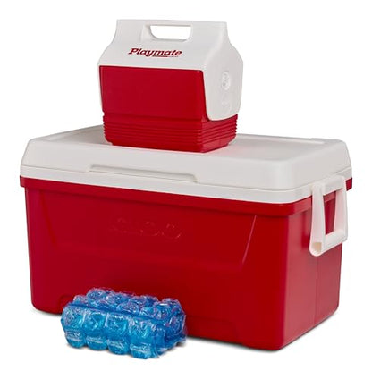 Igloo MaxCold Gel Ice Packs, Reusable Ice Packs for Coolers, Long Lasting Cold Freezer Pack for Lunch Boxes and Camping - color: Cube