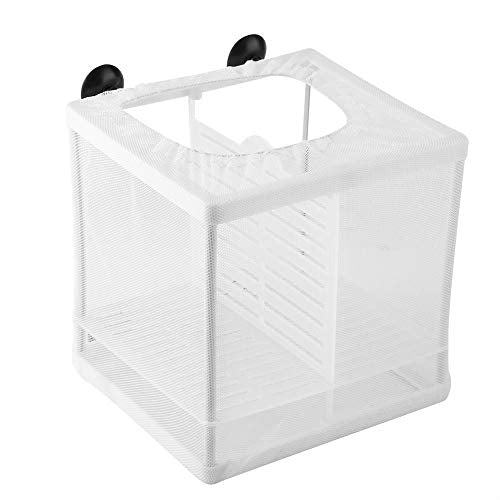 GLOGLOW Nan Aquarium Breeder, Quality Plastic Isolation Mesh Box, Easy Installation Fish Breeding Net 16x16x14cm for Fish Breeding and Sample Division Aquaculture Hatching Supplies