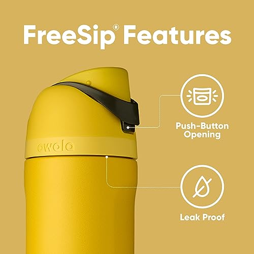 Owala Harry Potter FreeSip Stainless Steel Water Bottle 24 oz Hufflepuff - color: Hufflepuff, size: 24 Ounces