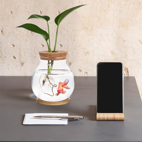 Toddmomy Desktop Hydroponic Glass Fish Bowl Mat Small Betta Tank for Aquatic Plants Terrarium for Home Office Lid
