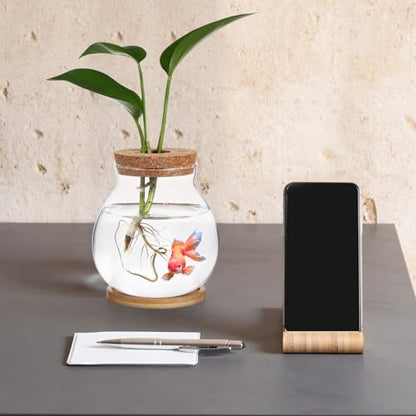 Toddmomy Desktop Hydroponic Glass Fish Bowl Mat Small Betta Tank for Aquatic Plants Terrarium for Home Office Lid