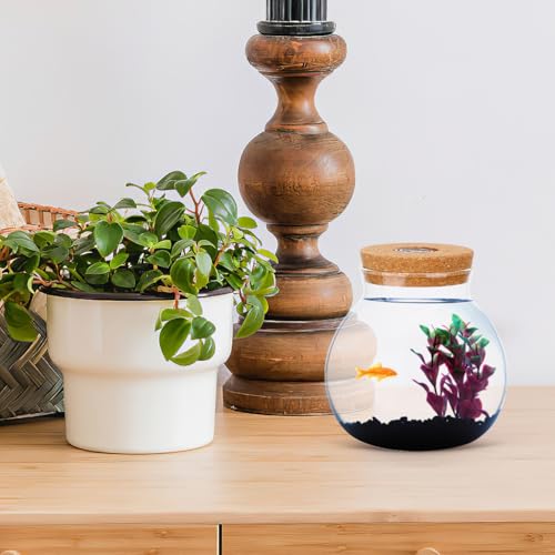 Hemobllo Fish Tank Micro Landscape Bottle 5.51In Transparent Borosilicate Glass Ecological Bottle with Integrated Led Light for Home Office Desk Decoration - size: 14X13X13cm