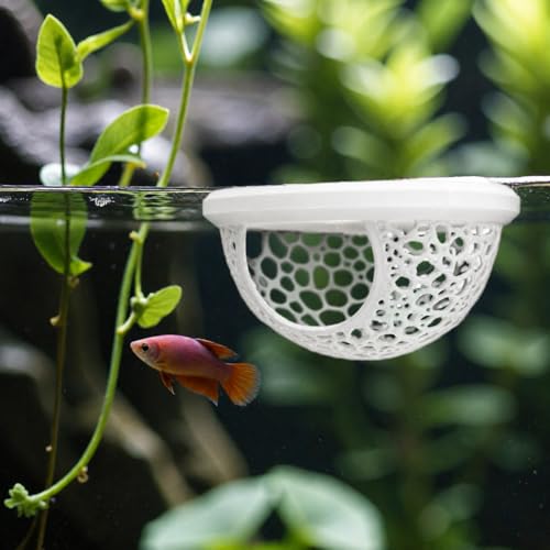 Floating Betta Fish Shrimp, Betta or Shrimp Feeder, Cave Hammock, Small Fish Feeding Rings, Aquarium Hiding Feeding Decorative Accessories Panda Prints Shrimp Dome (White)