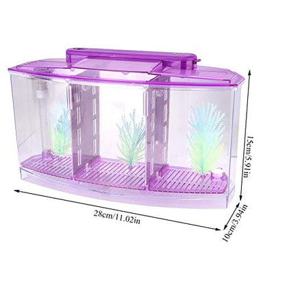 Mini Fish Box, Plastic Aquarium Isolation Box Acrylic Breeding Hatchery Small Fishes Incubator Mini Fish with Three Divisions and LED Light(Purple)