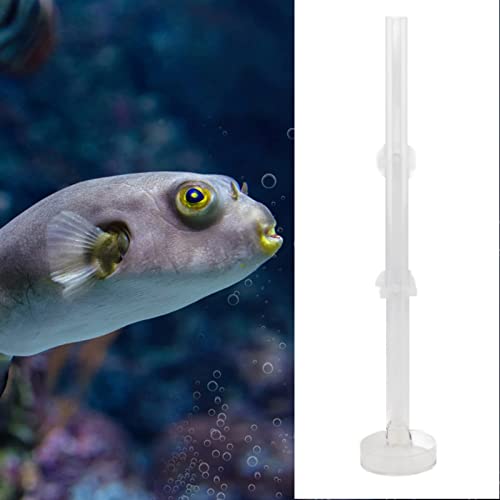 Pssopp Aquarium Fish Shrimp Feeder, Acrylic Clear Shrimp Feeding Tube Transparent Crystal Shrimp Feeding Tube and Dish Shrimp Feeder Tube Tray for Fish Aquarium