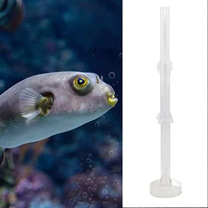 Pssopp Aquarium Fish Shrimp Feeder, Acrylic Clear Shrimp Feeding Tube Transparent Crystal Shrimp Feeding Tube and Dish Shrimp Feeder Tube Tray for Fish Aquarium