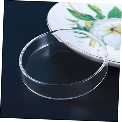 FOMIYES Clear Glass Shrimp Feed Dish for Fish and Reptiles Durable Crystal Feeding Bowl for Aquariums Smooth Surface Enhances Tank Aesthetics Multipurpose Use for Shrimp Fish and More
