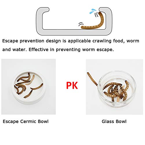 2 Pack Reptile Food Bowl, Mini Ceramic Water Feeder Bowl, Reptile Worm Feeding Dish for Lizard Turtle Bearded Dragon Anoles Crested Gecko Hermit Crab Leopard Gecko Chameleon Corn Snake - size: 1 Pc 2.7 '' x 0.8 ''