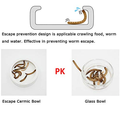 2 Pack Reptile Food Bowl, Mini Ceramic Water Feeder Bowl, Reptile Worm Feeding Dish for Lizard Turtle Bearded Dragon Anoles Crested Gecko Hermit Crab Leopard Gecko Chameleon Corn Snake - size: 1 Pc 2.7 '' x 0.8 ''