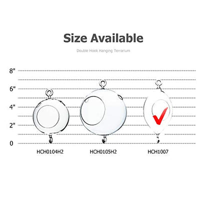 WGV Hanging Terrarium, Width 3.5", Height 7", Oblong, Double Hook, DIY Air Succulent Planter, Clear Glass Vase Orb, Candle Holder for Windowsill Outdoor Garden Decor, 6 Pieces Bulk - size: 7" Oblong Double Hook