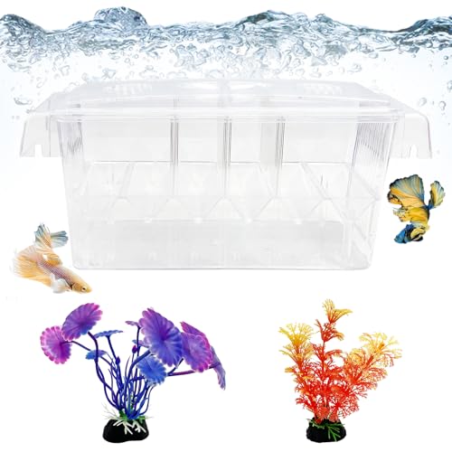 Fish Breeding Box - 4 Rooms HD Aquarium Breeder with Suction Cups, Baby Hatchery Acrylic Incubator Isolation Box, Artificial Plant for Guppy Hatchery - size: 4 Rooms
