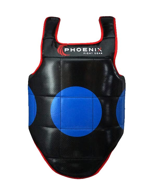 Kids Champion Reversible Chest Protector Gear for Boxing, Sparring. Karate, Muay Thai and Taekwondo, MMA Gear, Youth Body Shield Protective Gear, Martial Arts Training Equipment - size: Large