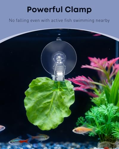 Pawfly 6 Pcs Aquarium Suction Cups with Clips, Aquarium Suction Cup Clips, Clear Plastic Fish Feeding Tool, Plant Leaf Seaweed Clips, Veggie Feed Holder, Underwater Fish Feeder, Fish Tank Accessories