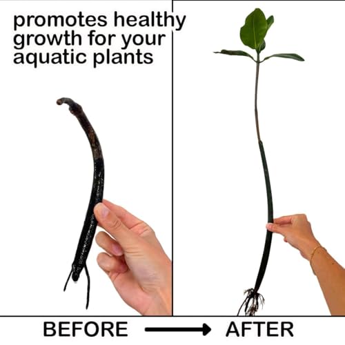 Magnetic Mangrove & Bamboo Holder for Aquariums (3 Pack) | Tank-Safe Magnets | Plant Mounts for Glass up to 1/4” | Aquascaping Support