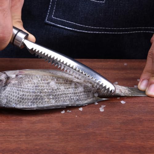 MAGICLULU Fish Scale Scraper and Fishbone Tweezer Set, Stainless Steel Seafood Tools Shrimp Deveiner, Precision Kitchen Gadget for Fish Cleaning and Scale Removal, 3pcs White Box Kit
