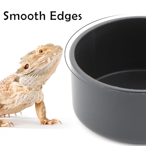 10 Pcs Small Reptile Water Bowl Food Dish Feeding Bowl for Spider Gecko Lizard Horned Frog Turtle Snake (Black)