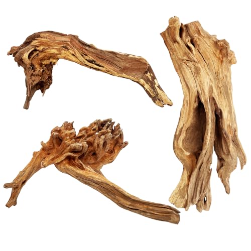 3 PCS Large Natural Aquarium Driftwood 10-12", Aquarium Drift Wood for Fish Tank Decoration, Assorted Size Mopani Wood Twisted Branches Trunk Decor for Freshwater, Reptile Terrarium - color: Mopani Driftwood 10-12in(3PCS)